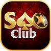 saoclub net logo